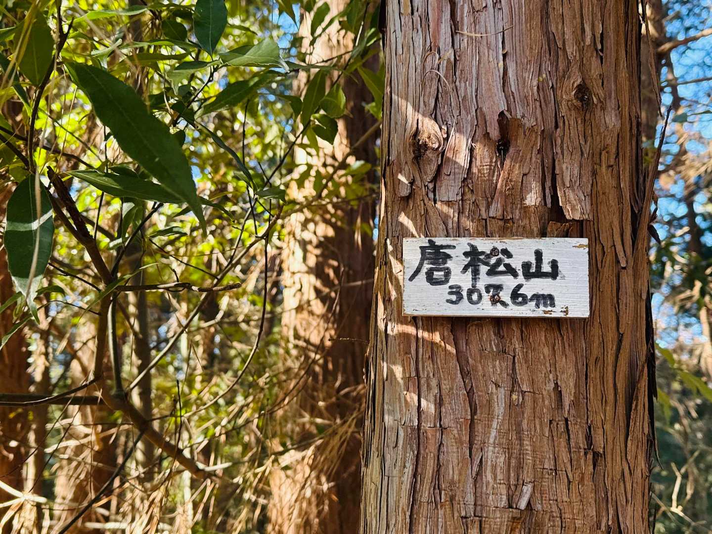 唐松山 307.6m〜！
ヽ(´▽｀)/