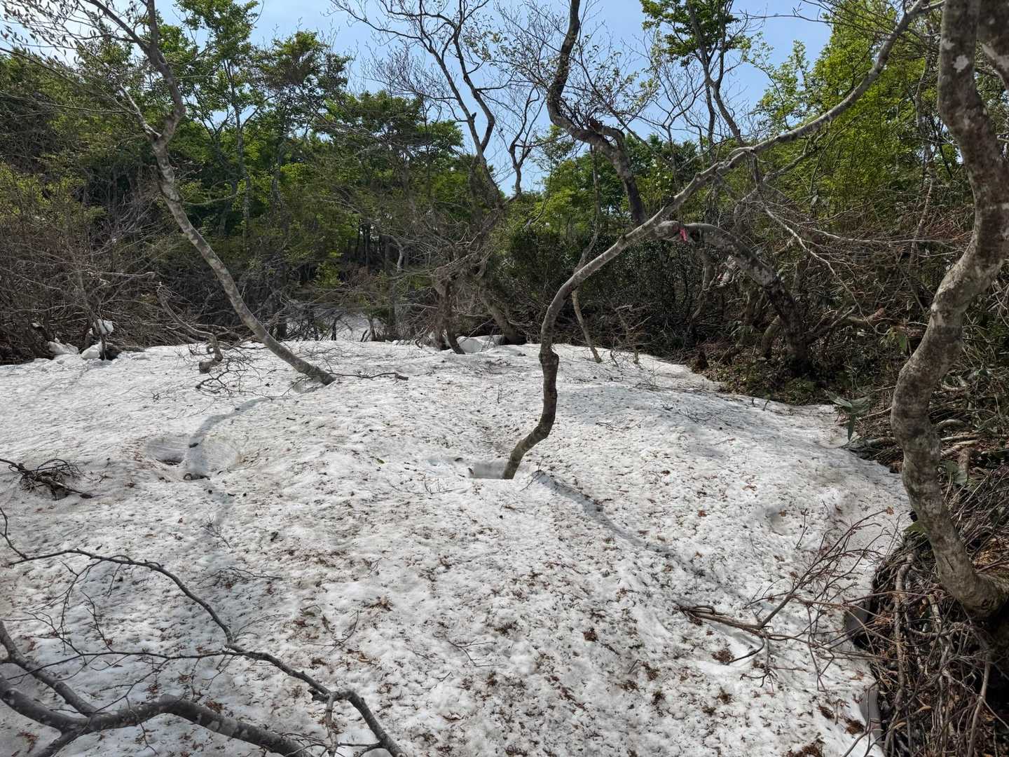雪渓歩き、ルーファイしながら注意して。