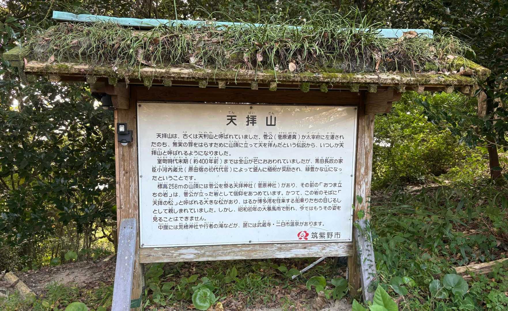 宝満山⛰️天拝山⛰️竈門神社⛩️
生活圏内に歴史ある所がいっぱいで
ありがたいですねー