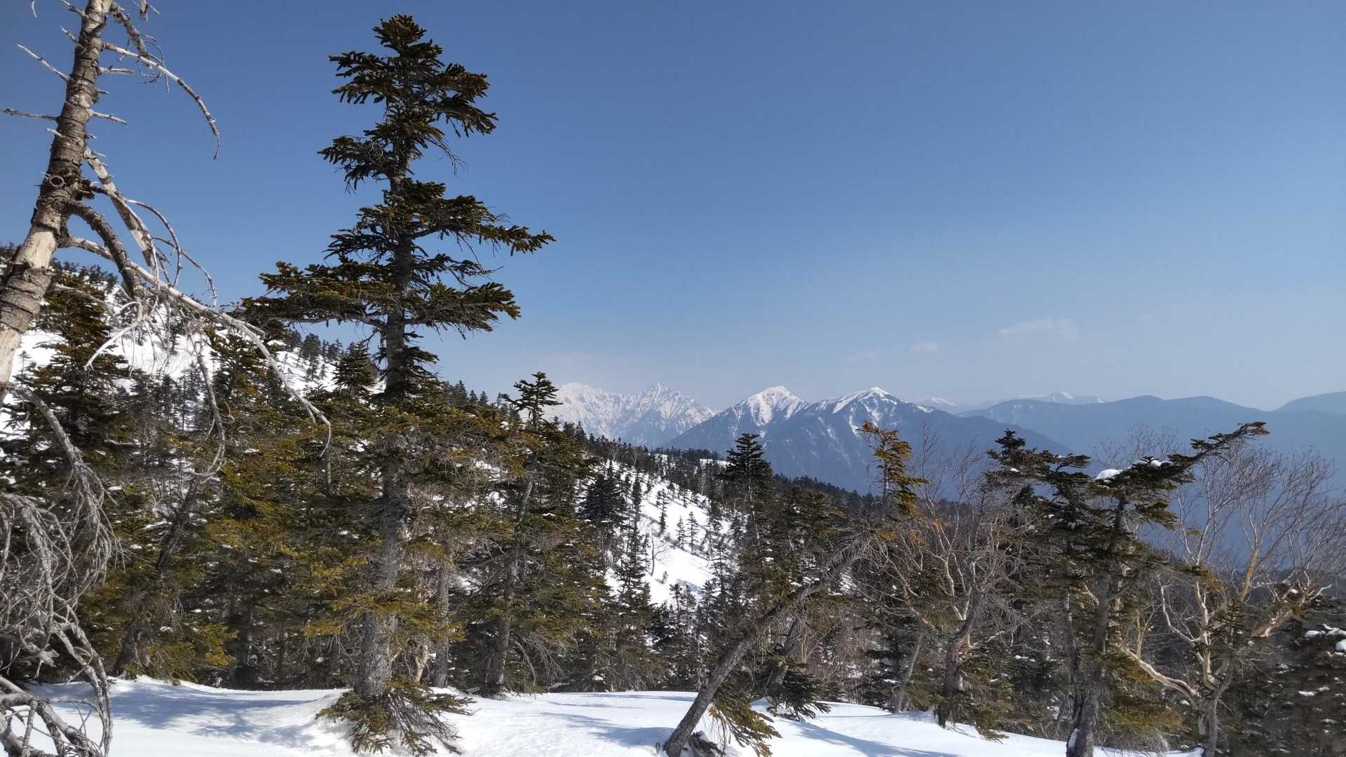 十石山 往復コースの写真