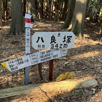 八良塚の標識はYAMAPの山頂と微妙にズレていて気になる💧