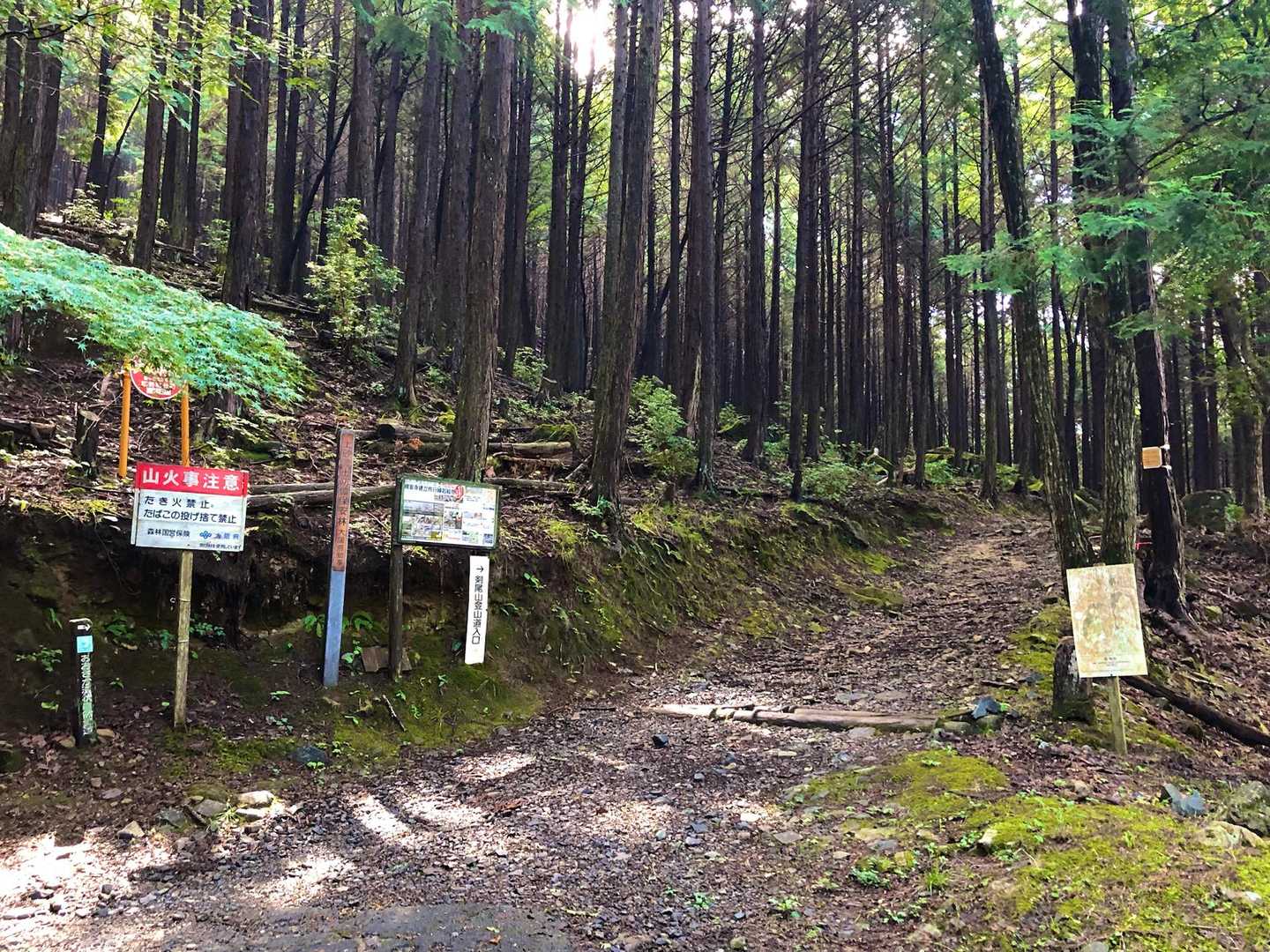 5分程歩くと 登山道入り口がありました↗️

ここまでの途中にトイレありました🚽