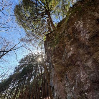 この辺りから急登に