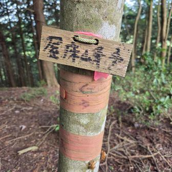 屋床峰、到着した😂
