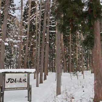 冬道からスタート！