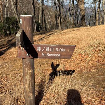日向沢ノ峰から少し下ったところに県境尾根への分岐点がある。棒ノ折山へは6km。かなりの長丁場になる