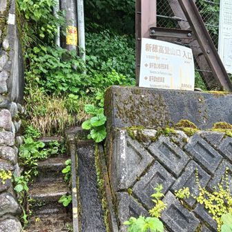 始発のロープウェイが7:00からとあったがよく見たら第2ロープウェイが7:00だった。早とちり😯

わ「8:00まで待とうか？」
r「第2ロープウェイまで歩いたらエエやん😠」
わ「は、はい…💦」

ということでスタート💨