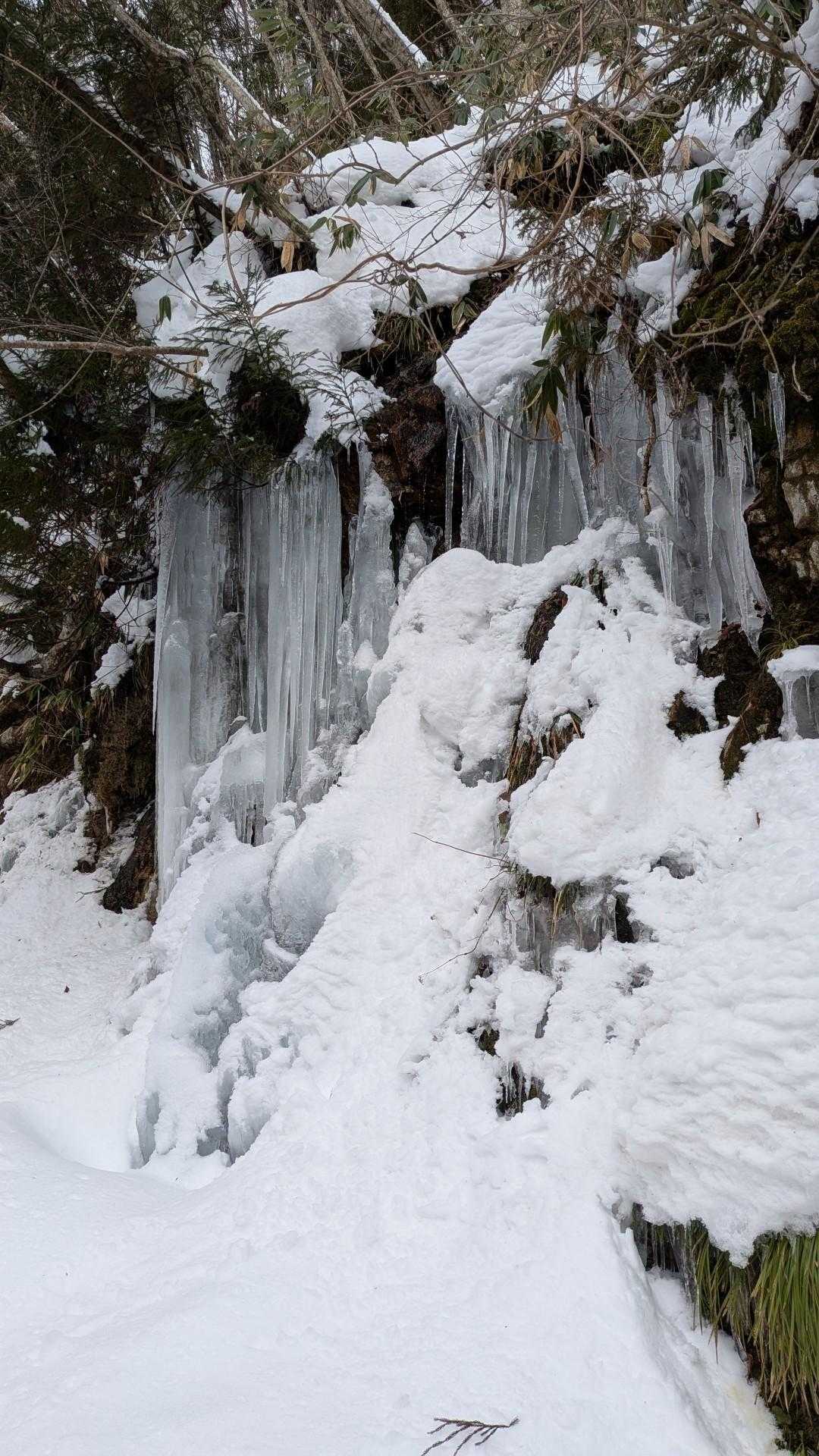 ここで氷柱🧊
