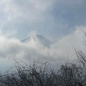 今日唯一のサンフジ🏔️