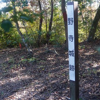 野寺城跡
雪野山の北峰(標高204m)に建つ山城。
築城時期・築城主などは不明だが、六角氏の家臣・吉田氏の城と考えられる
山頂部に30m四方の主郭部があり、周囲には帯曲輪や畝状竪堀と思われる構造が残る
発掘調査が行われていないため、詳細は不明