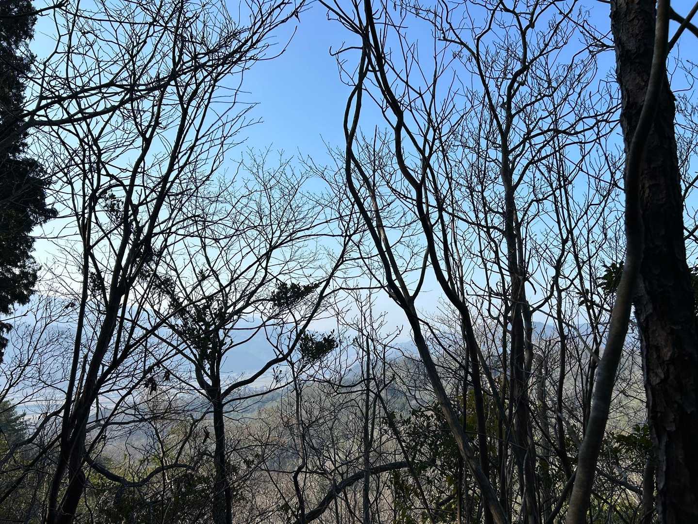 鷲ヶ嶽 往復コースの写真