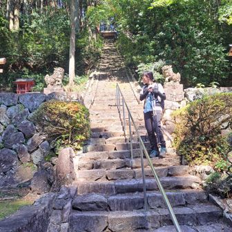 ぜーんぶで２００段以上😅