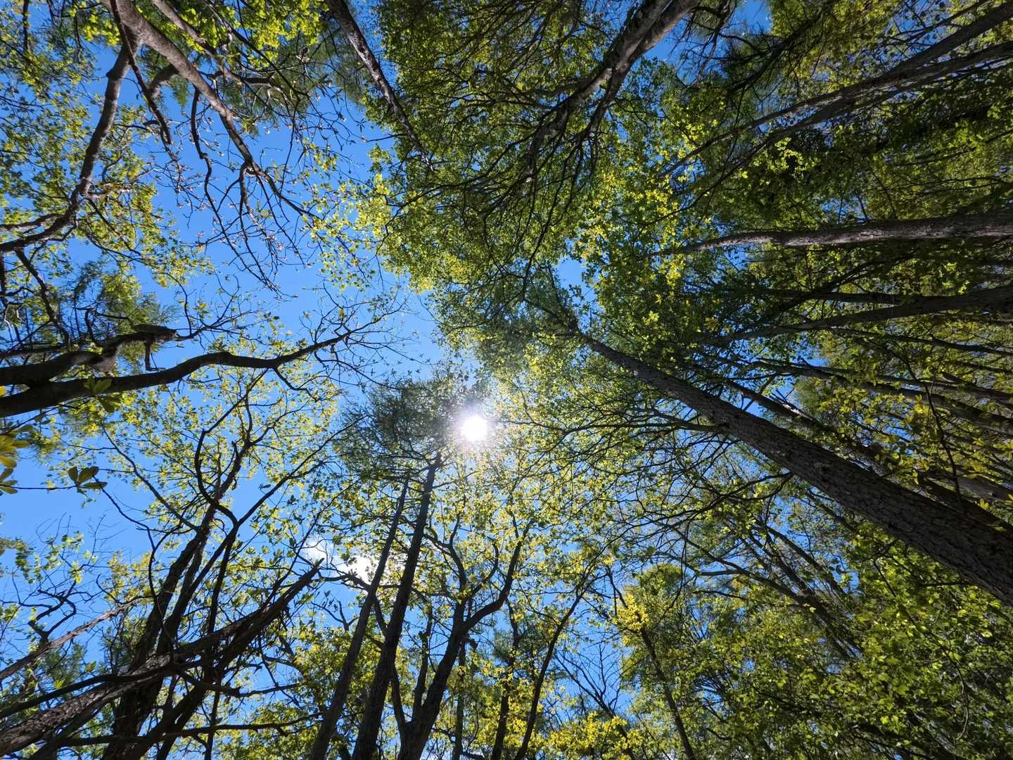 とっても良いお天気でウグイスのBGMが心地良い♫