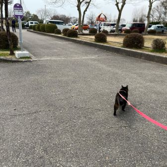 駐車場🅿️戻って来ました
お疲れでした
