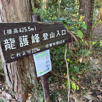 いつもの登山口より