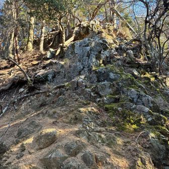 小雀への最後の砦🪨🪨