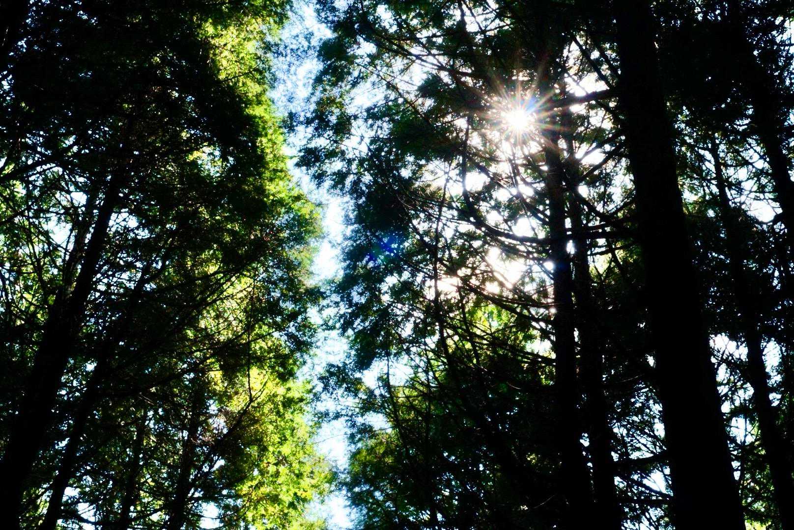 心地よい秋風を感じながら、のんびり下山していきます✨