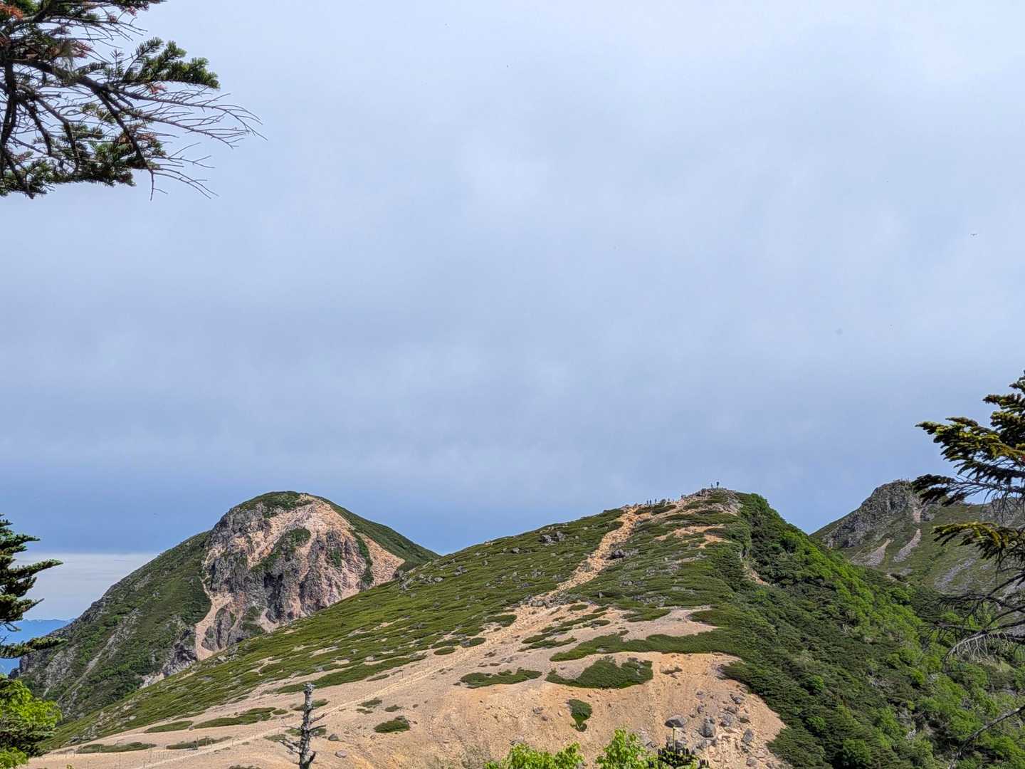 稲子湯唐沢橋登山口-ミドリ池-夏沢峠-箕冠山 往復コースの写真