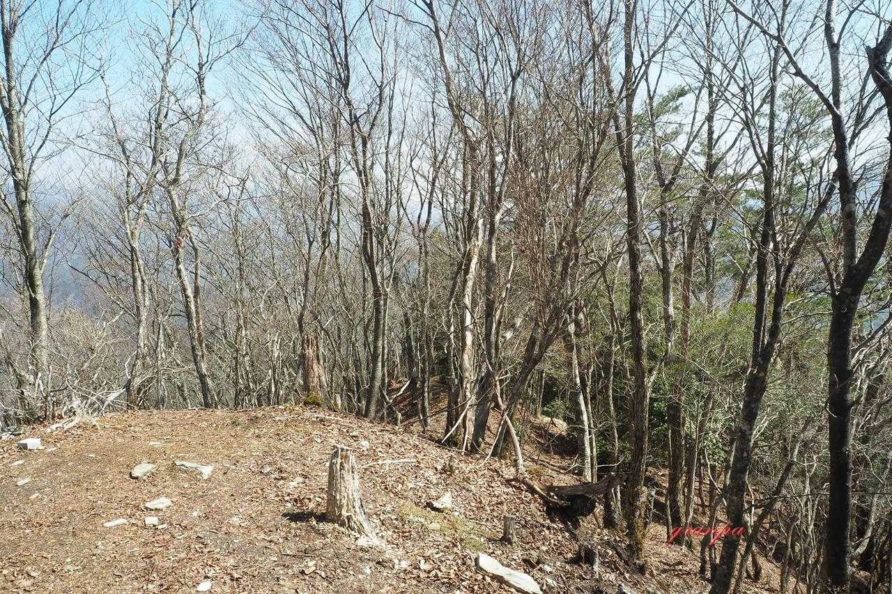 阿佐尻山登山口-阿佐尻山 往復コースの写真