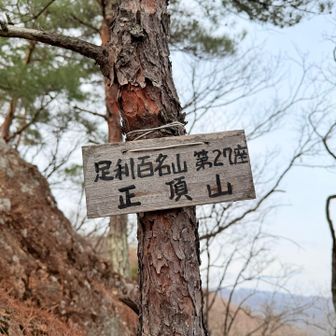 ありましたー！
正頂山　足利百名山#27