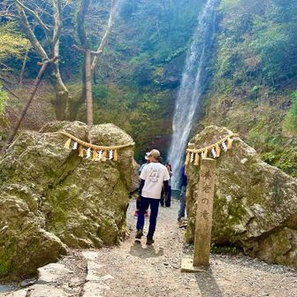 これがあの養老の滝！！！✨(*ﾟ∀ﾟ*)
雰囲気あるねぇ😆👍
先の水圧の風が涼しかった✨