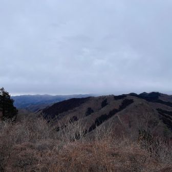 ここまでずっと樹林帯だったのでいきなり良い景色