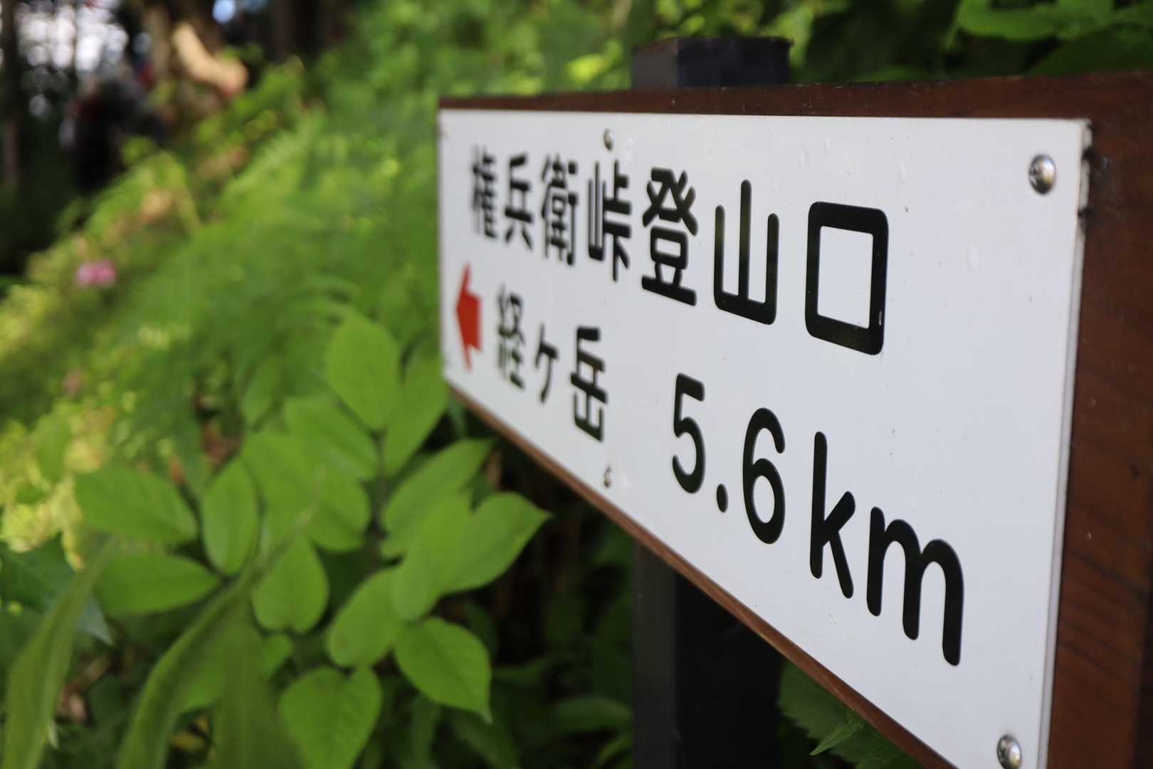 予定していた山行が延期になり…
🤔何処かへいきたいなぁ
と探していた所へ携帯がピロリン♫