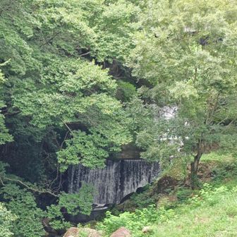 苦楽園まで夙川の河川敷を歩きました。
長いロードで苦手だった道も、河川敷なら楽しくいつまででも歩けます🚶‍♀️🎵