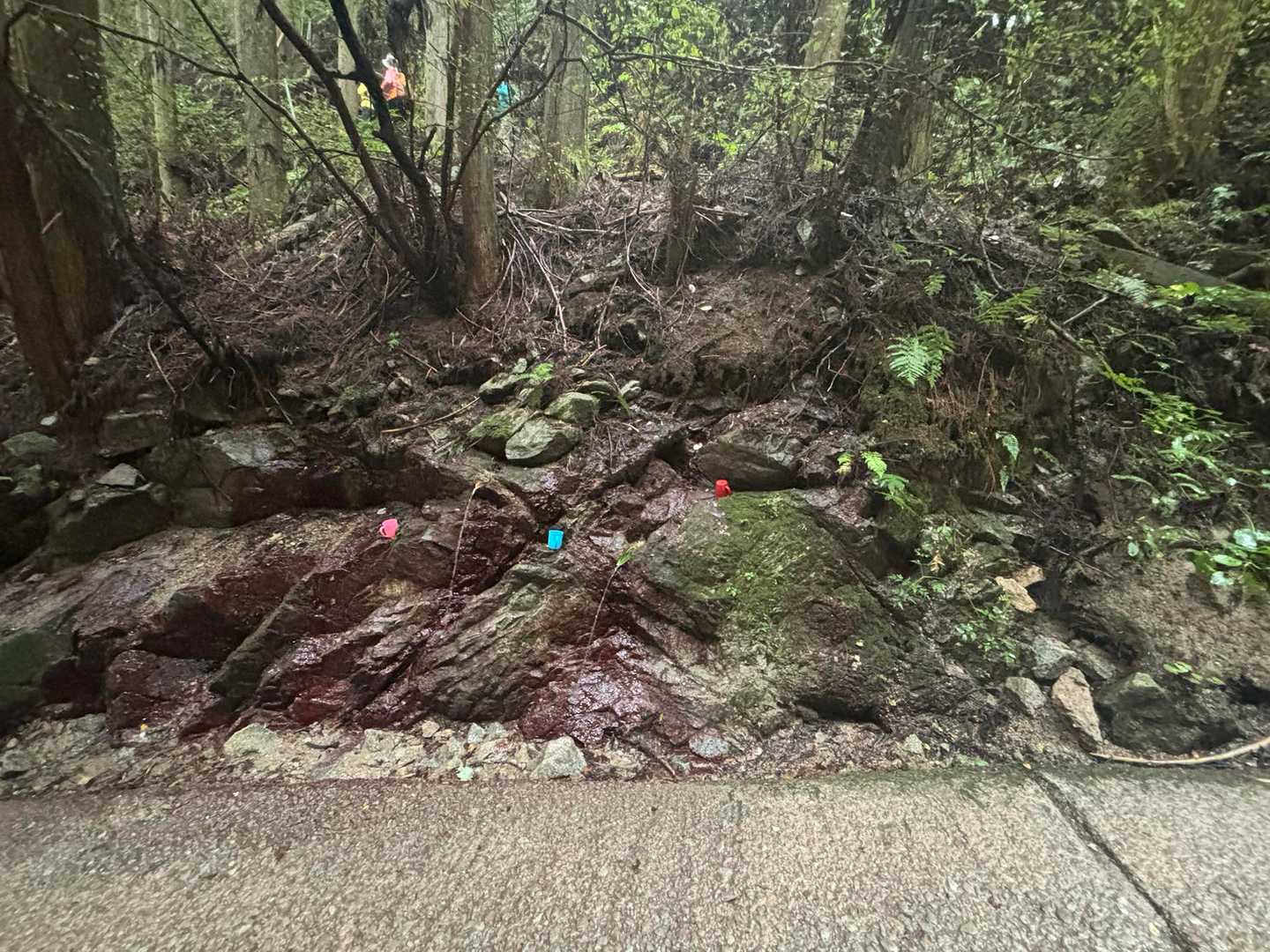 寺谷ルート水場💦に到着