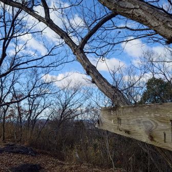 今日は皆さん日の出に賑わってたようですが、今は誰も居ません