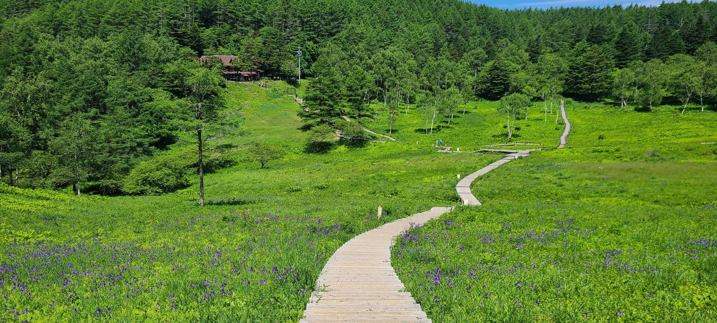 ゴンドラ山頂駅-入笠山-大阿原湿原 往復コースの写真