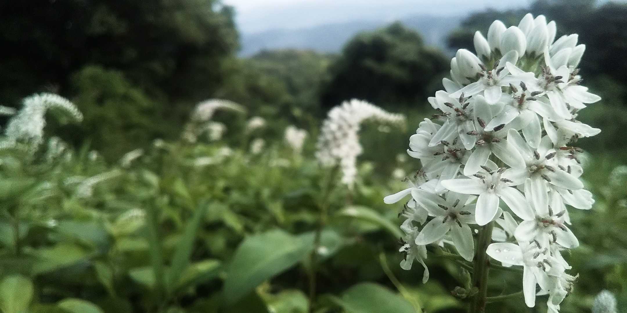 オカトラ畑🎶…って感じ😄