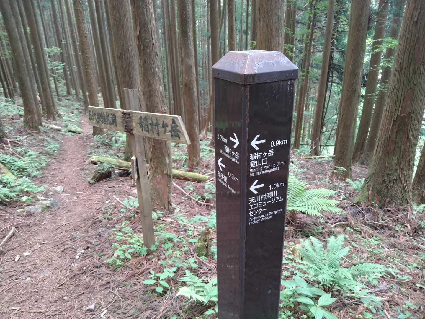 ➡️は母公堂の登山口
⬆️は五代松新道
少しでも洞川温泉街に近付きたいので⬆️に進みます