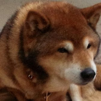 ババドゥルハミト