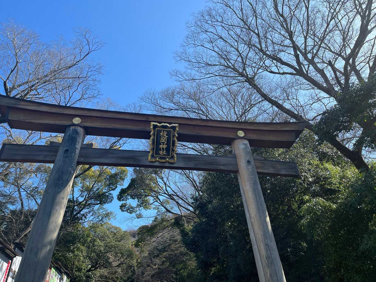 枚岡神社・神津嶽 往復コースの写真