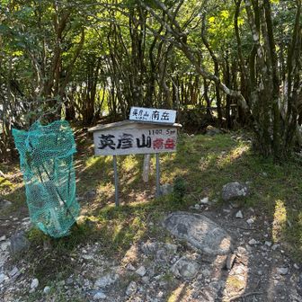 南岳を経由して鬼杉を見に行きます。