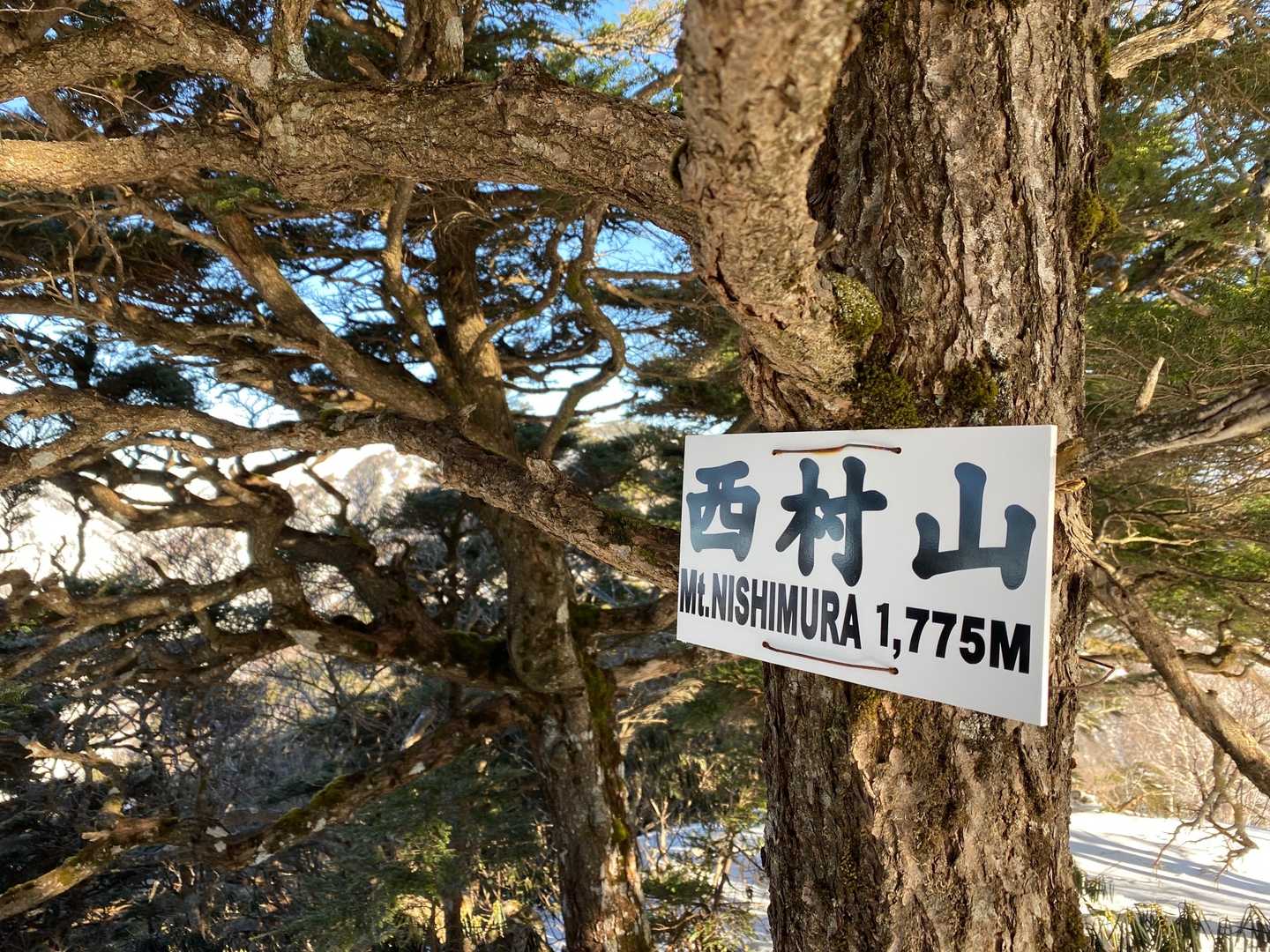 西村山