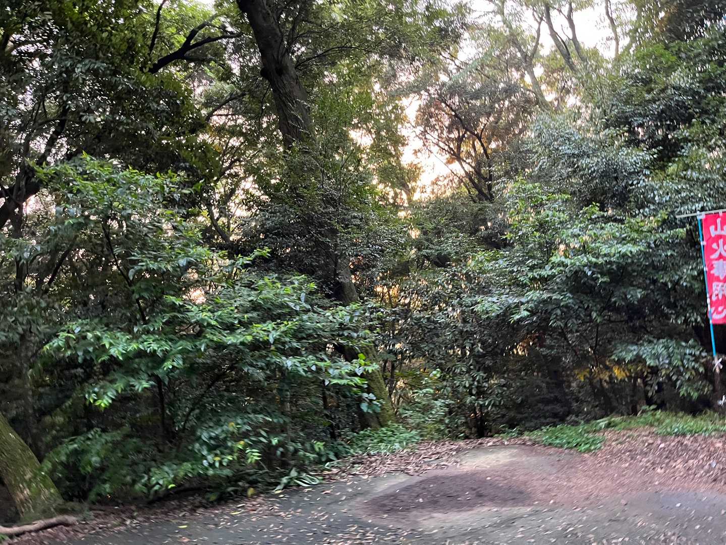 ちょっと夕陽が見える👀
前に鷹巣山のナイトハイクに行った時、日没が19時15分だったので、今回も19時くらいまでに登れれば良いだろうと思っていたら
なんとこの日の日没は18時45分でした💦

