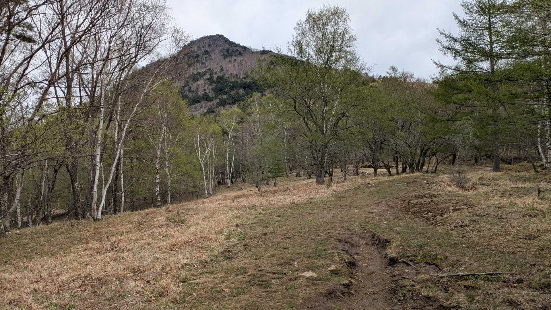 開けて来ました✨
山頂も見えました😊