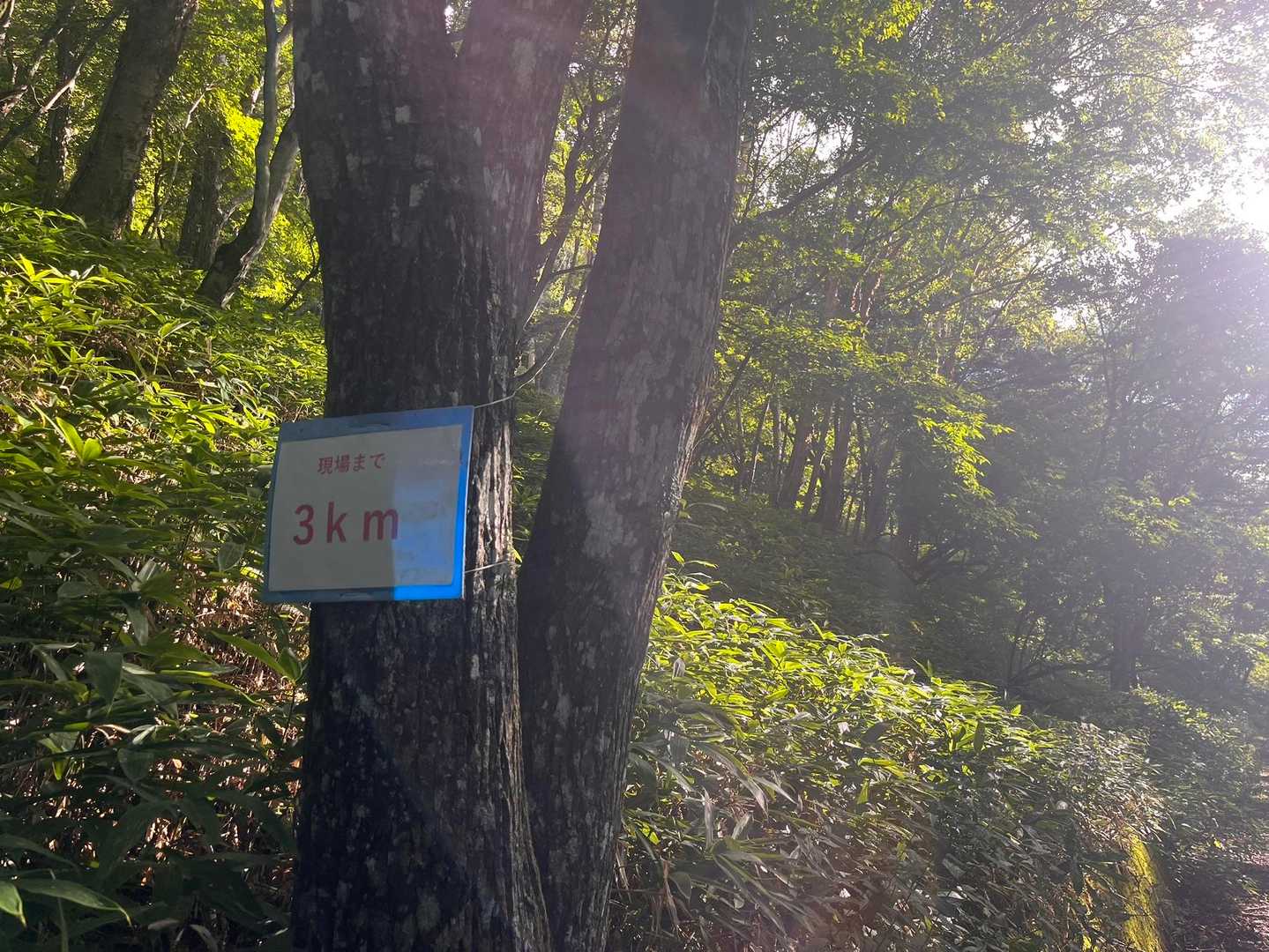 何が？