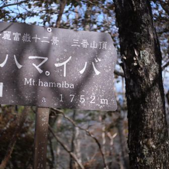 ハマイバ丸