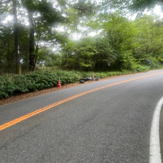 バイクが事故ってたみたい...