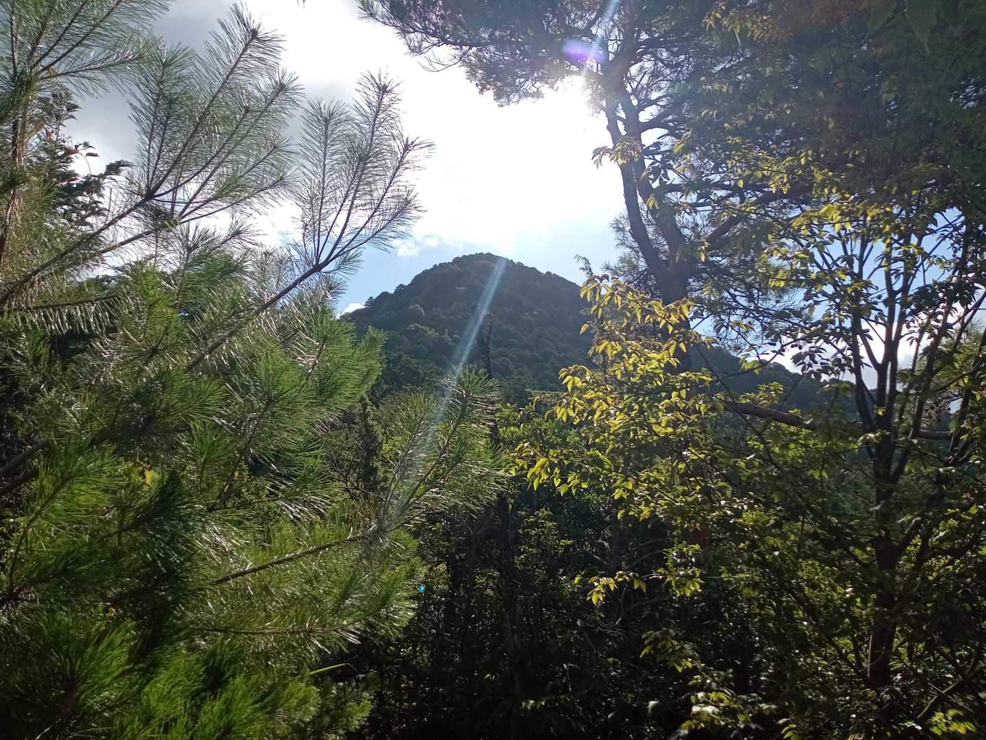 振り返ると近江富士🗻
ほんとに綺麗な山容👀✨️