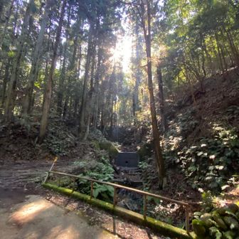 下まで降りてきたのでここから百々ヶ峰へ