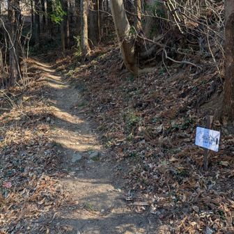 振り返って登山口