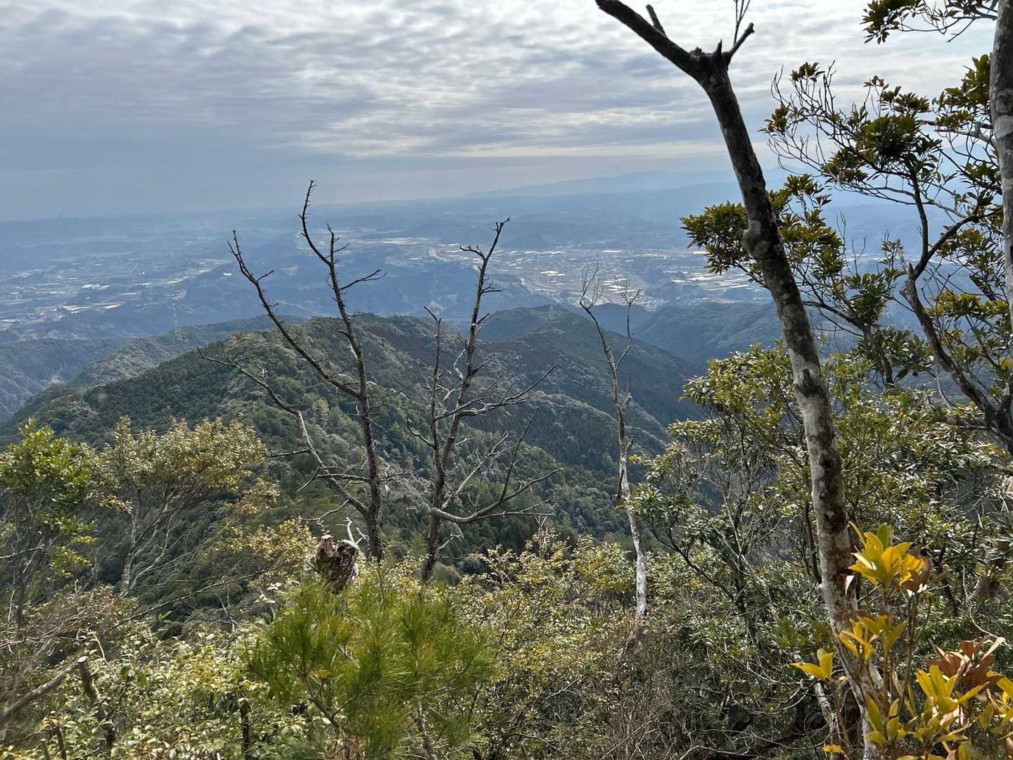 着いたー💦
良き山だな