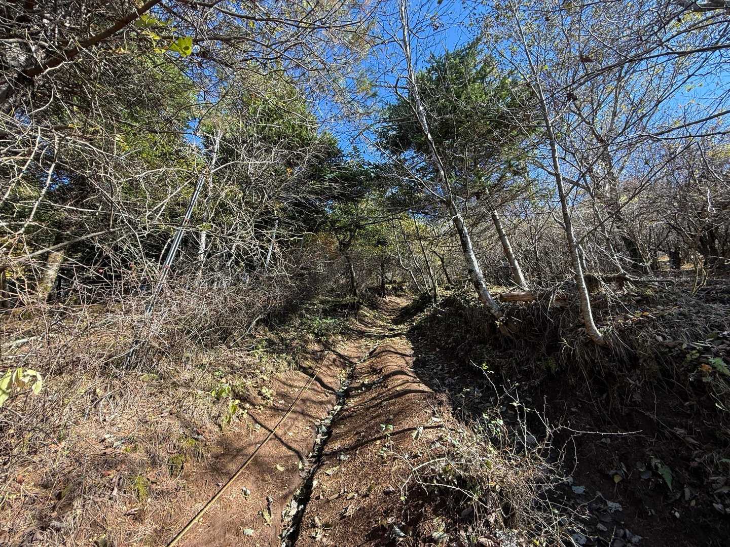 石割山直下の急登は乾いていて登りやすかったです