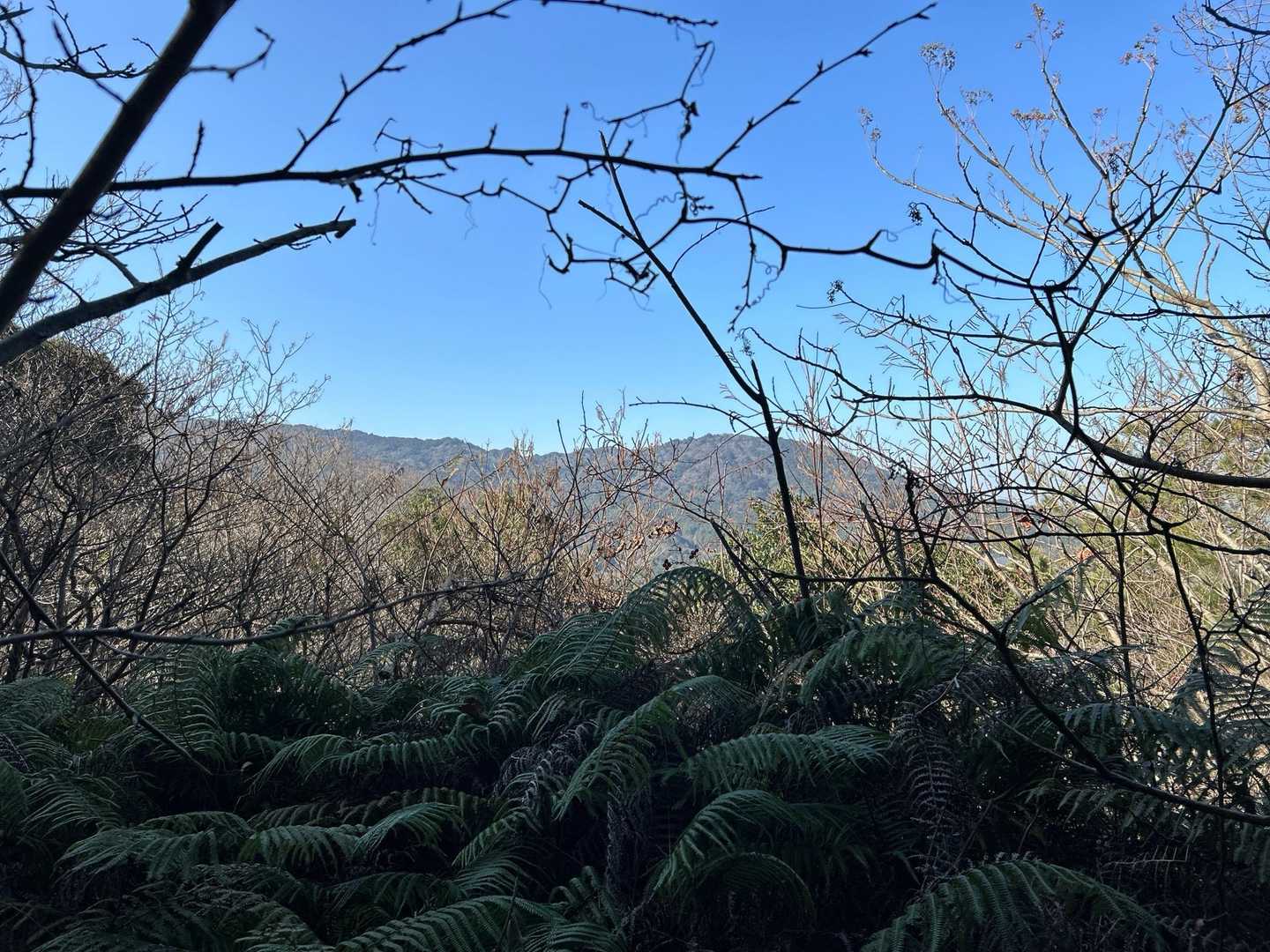 お隣の鐘撞山⛰️