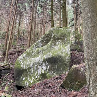 ヒヨコちゃんにもご挨拶🐥