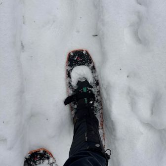 どれどれ
おっ行けるじゃん